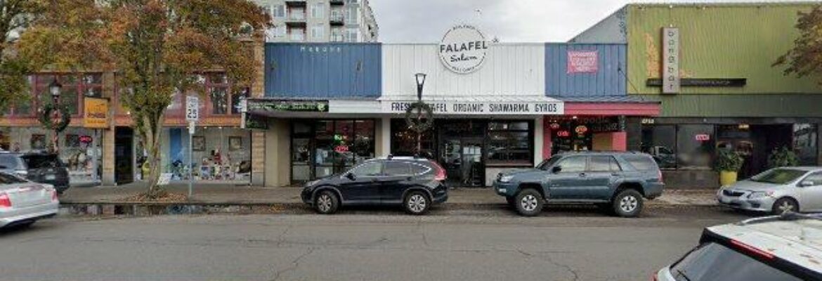 Falafel Salam